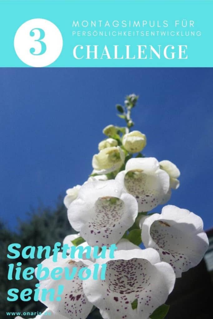 Montagsimpuls für persönlichkeitsentwicklung challenge - 3 sanftmut liebevoll sein