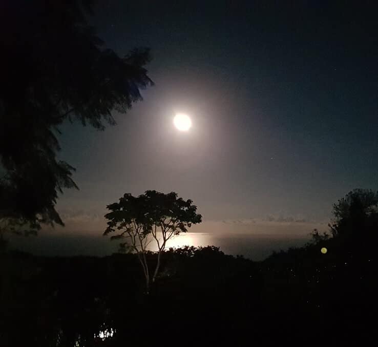 Im zeichen des mondes