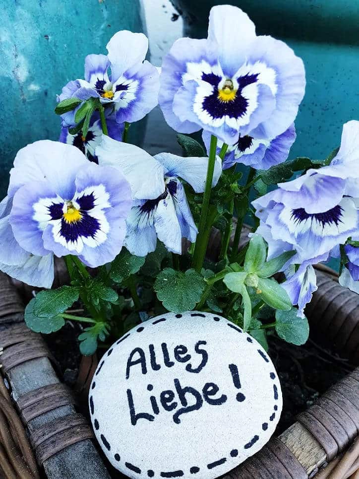 Alles Gute! - Pflanzen