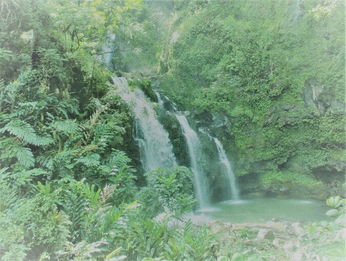 Upper Waikani Falls