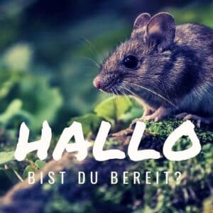 Hallo bist du bereit?